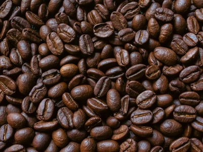 Coffee Bean