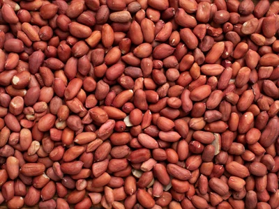 Peanut
