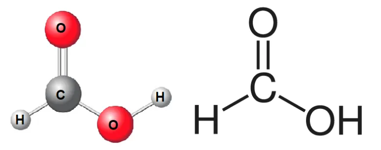 What is Formic Acid?