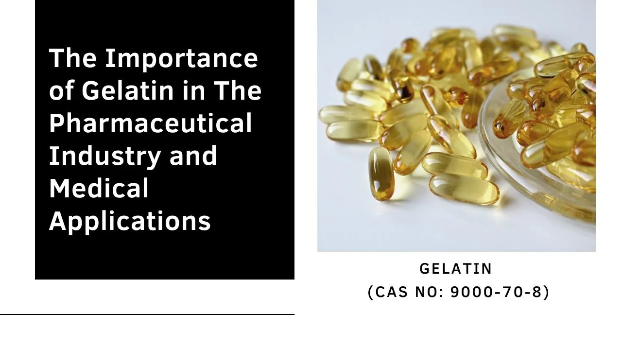 The Importance of Gelatin in The Pharmaceutical Industry and Medical Applications