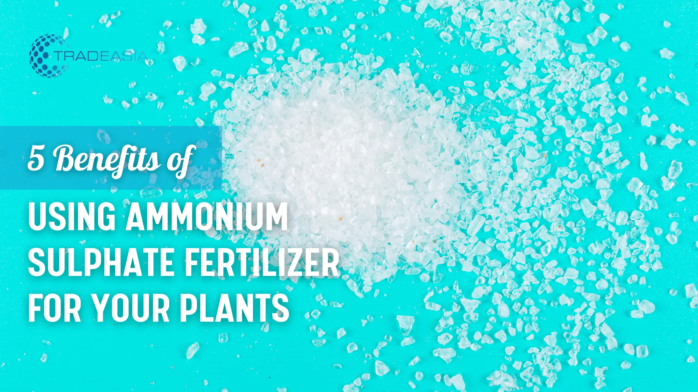 5 Benefits of Using Ammonium Sulphate Fertilizer for Your Plants