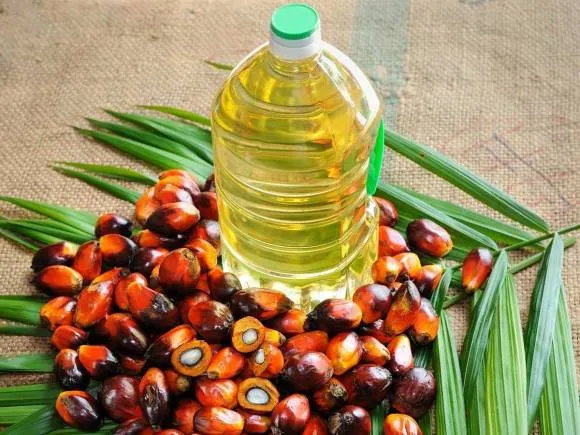 Palm Oil Importance and Uses for Domestic to International Market