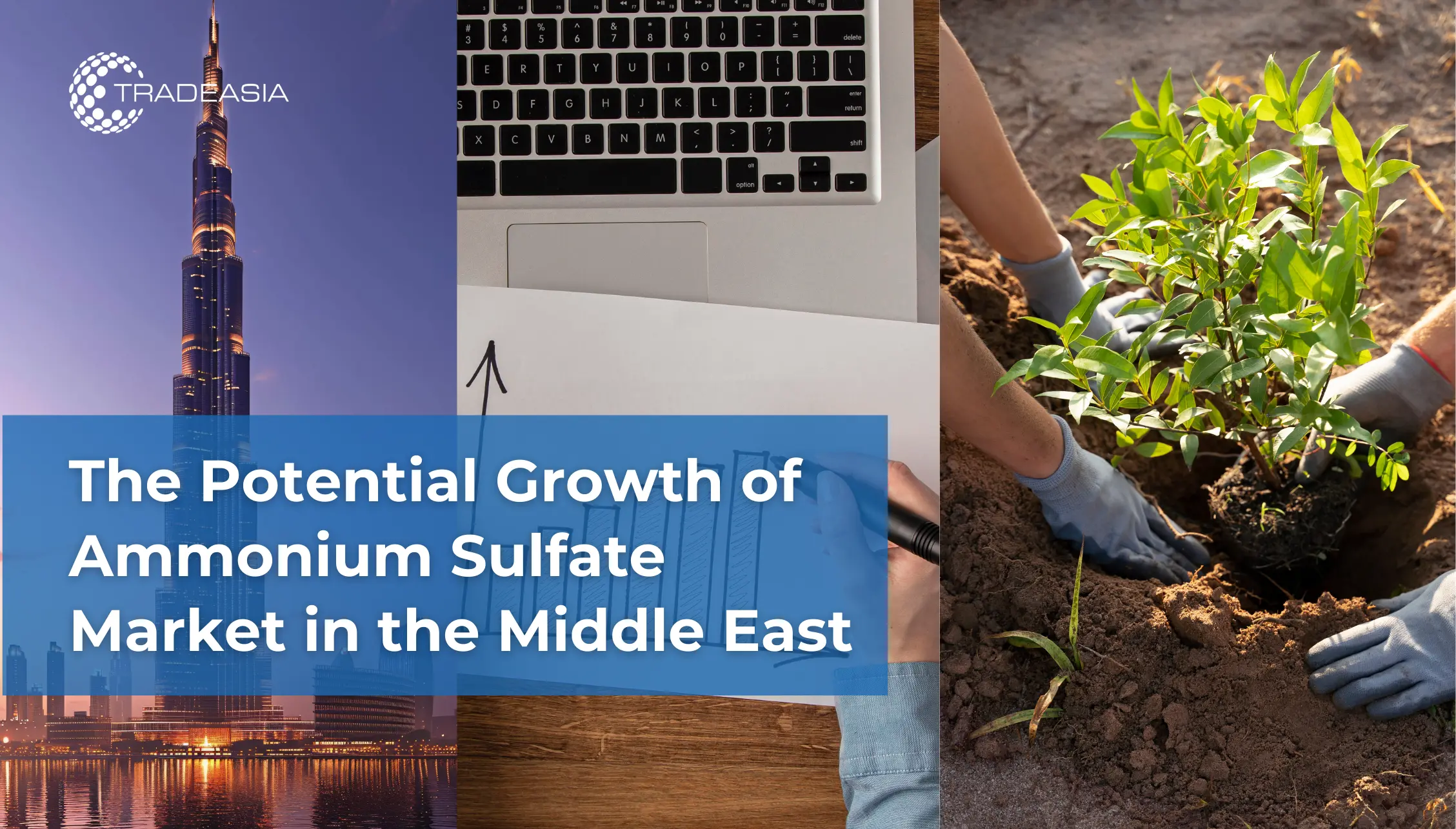 The Potential Growth of Ammonium Sulphate Market in the Middle East