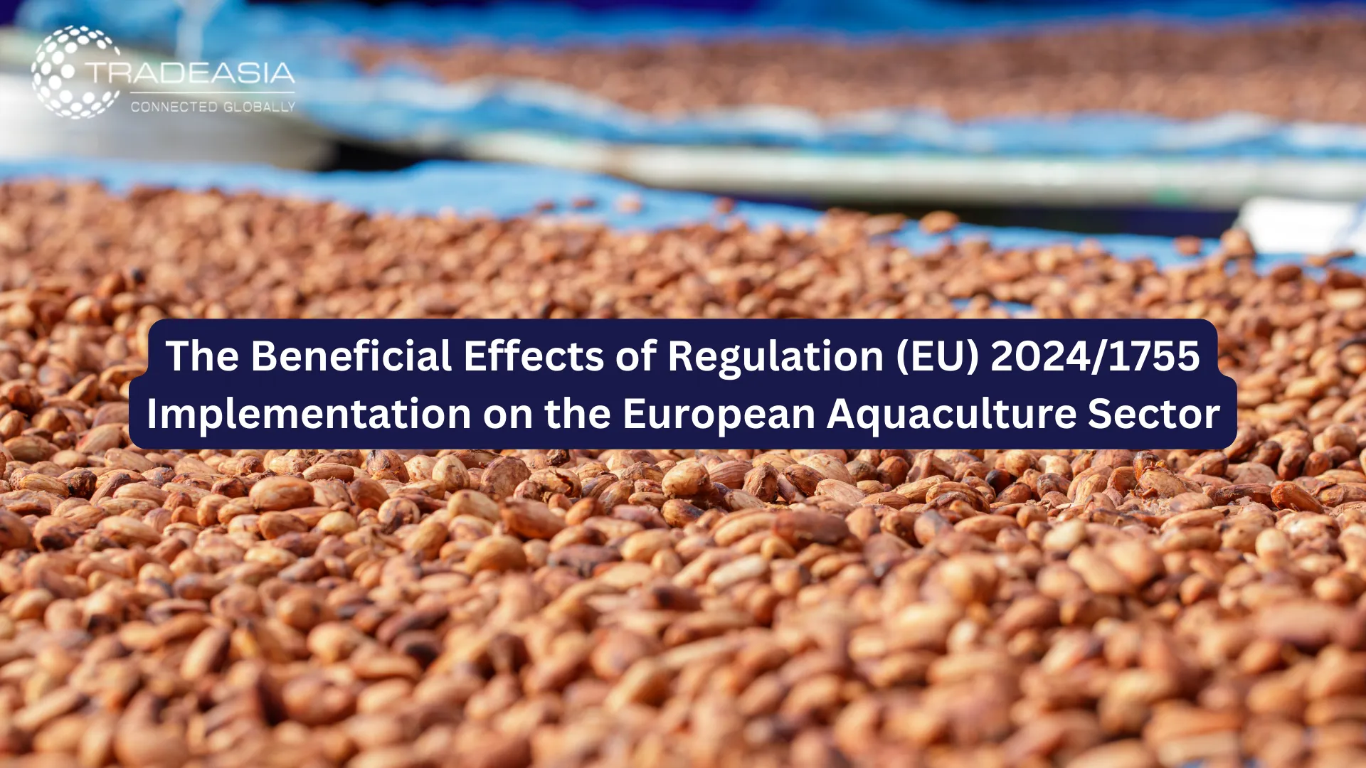 The Beneficial Effects of Regulation (EU) 2024/1755 Implementation on the European Aquaculture Industry