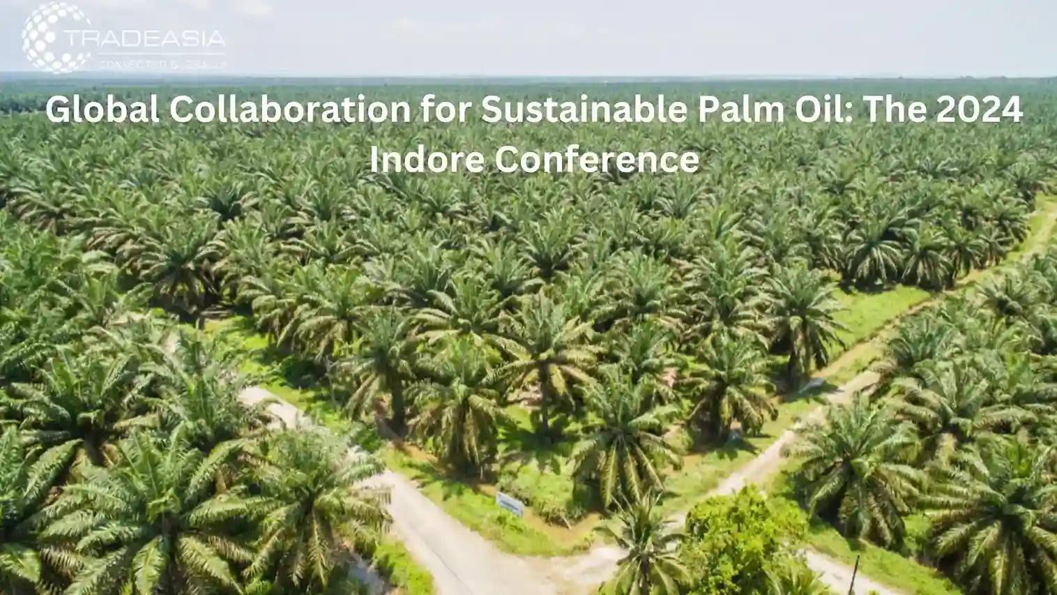 Global Collaboration for Sustainable Palm Oil