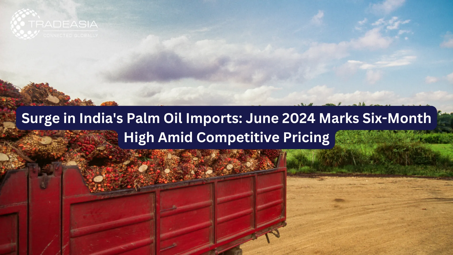 Surge in India's Palm Oil Imports: June 2024 Marks Six-Month High Amid Competitive Pricing