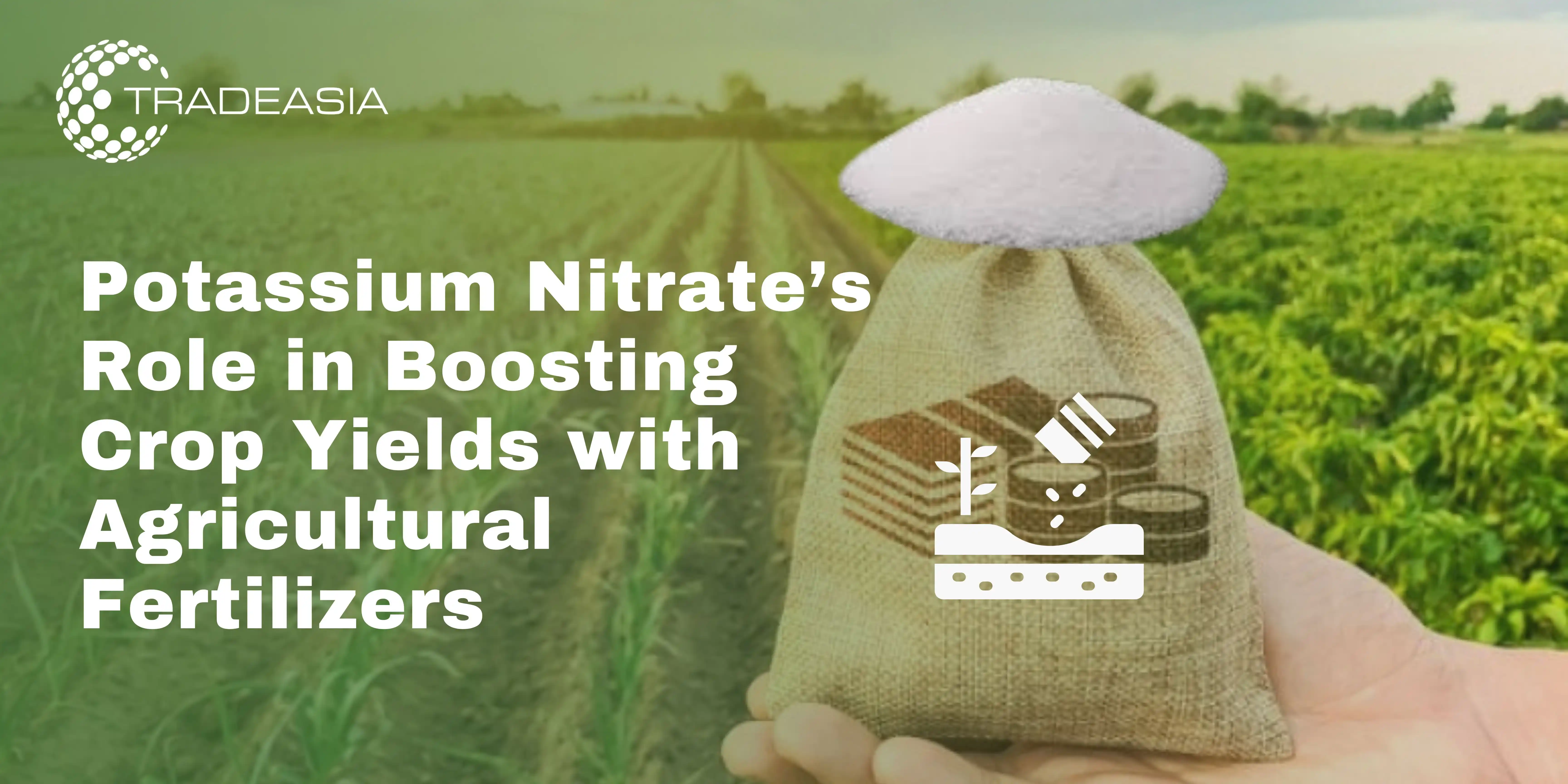 Potassium Nitrate’s Role in Boosting Crop Yields with Agricultural Fertilizers