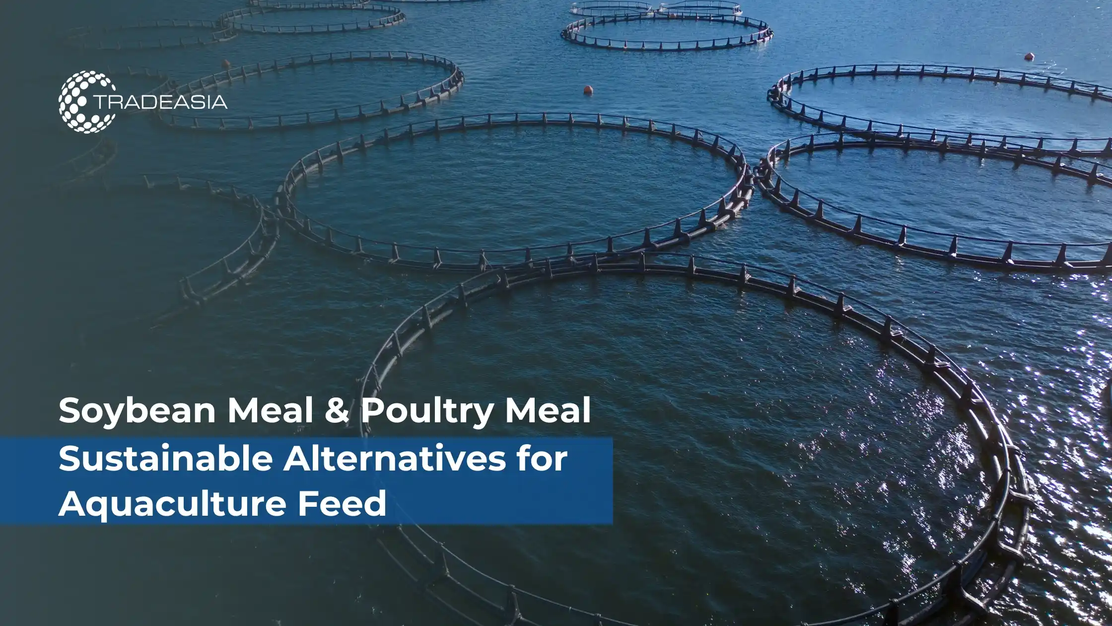 Soybean Meal and Poultry Meal: Sustainable Alternatives for Aquaculture Feed