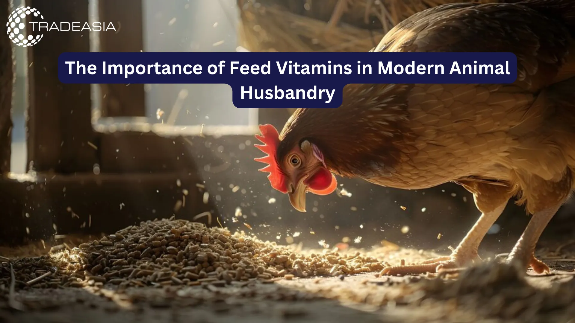 Feed Vitamins in Modern Animal Husbandry