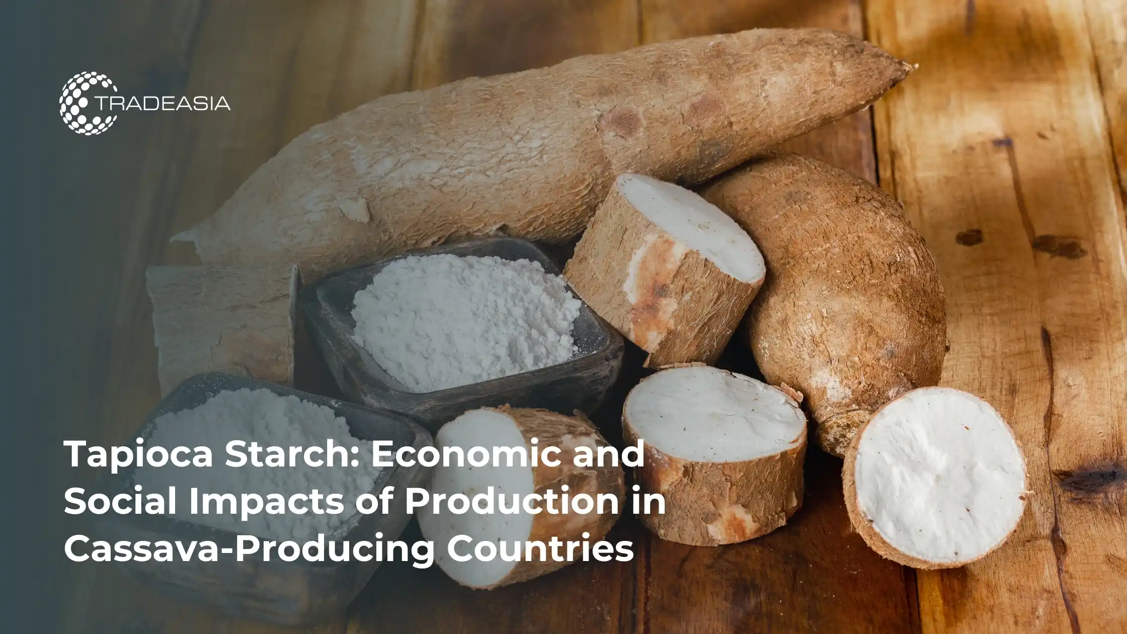 Tapioca Starch: Economic and Social Impacts of Production in Cassava-Producing Countries