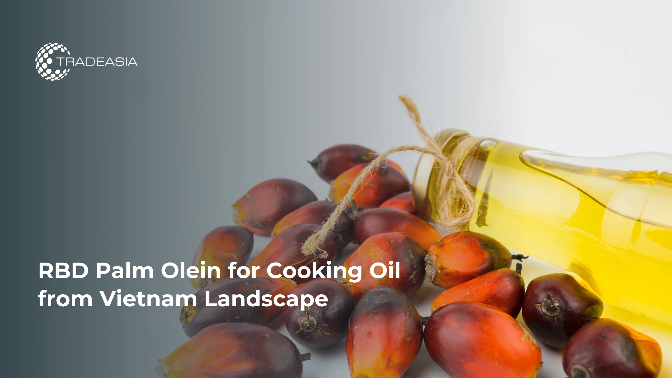 RBD Palm Olein for Cooking Oil from Vietnam Landscape