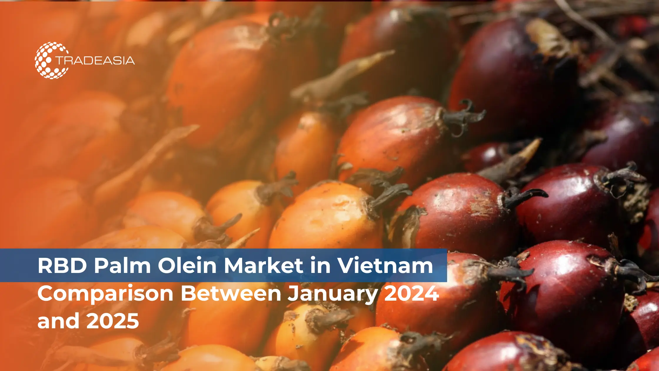 RBD Palm Olein Market in Vietnam: Comparison Between January 2024 and 2025