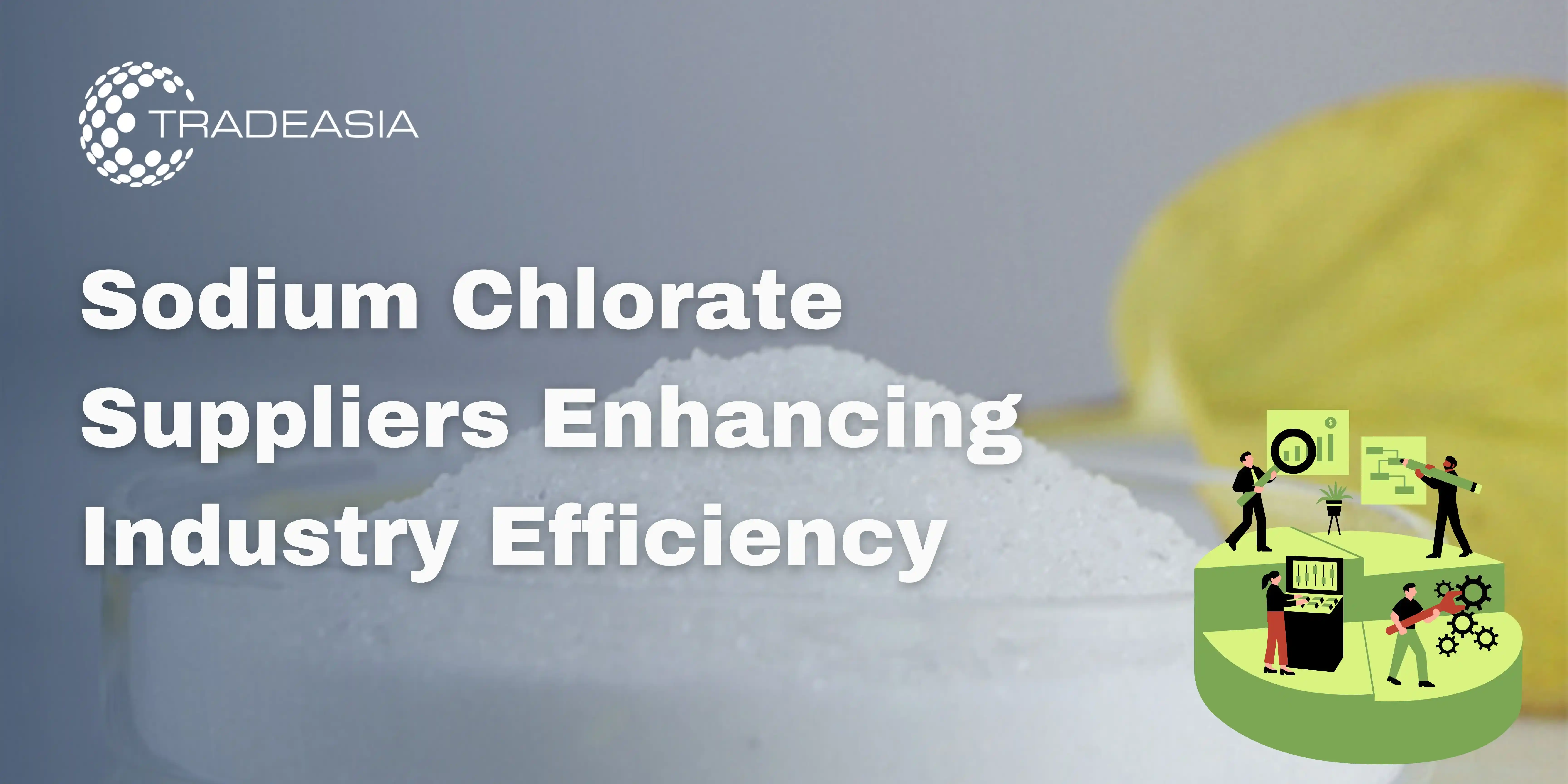 Sodium Chlorate Suppliers Enhancing Industry Efficiency