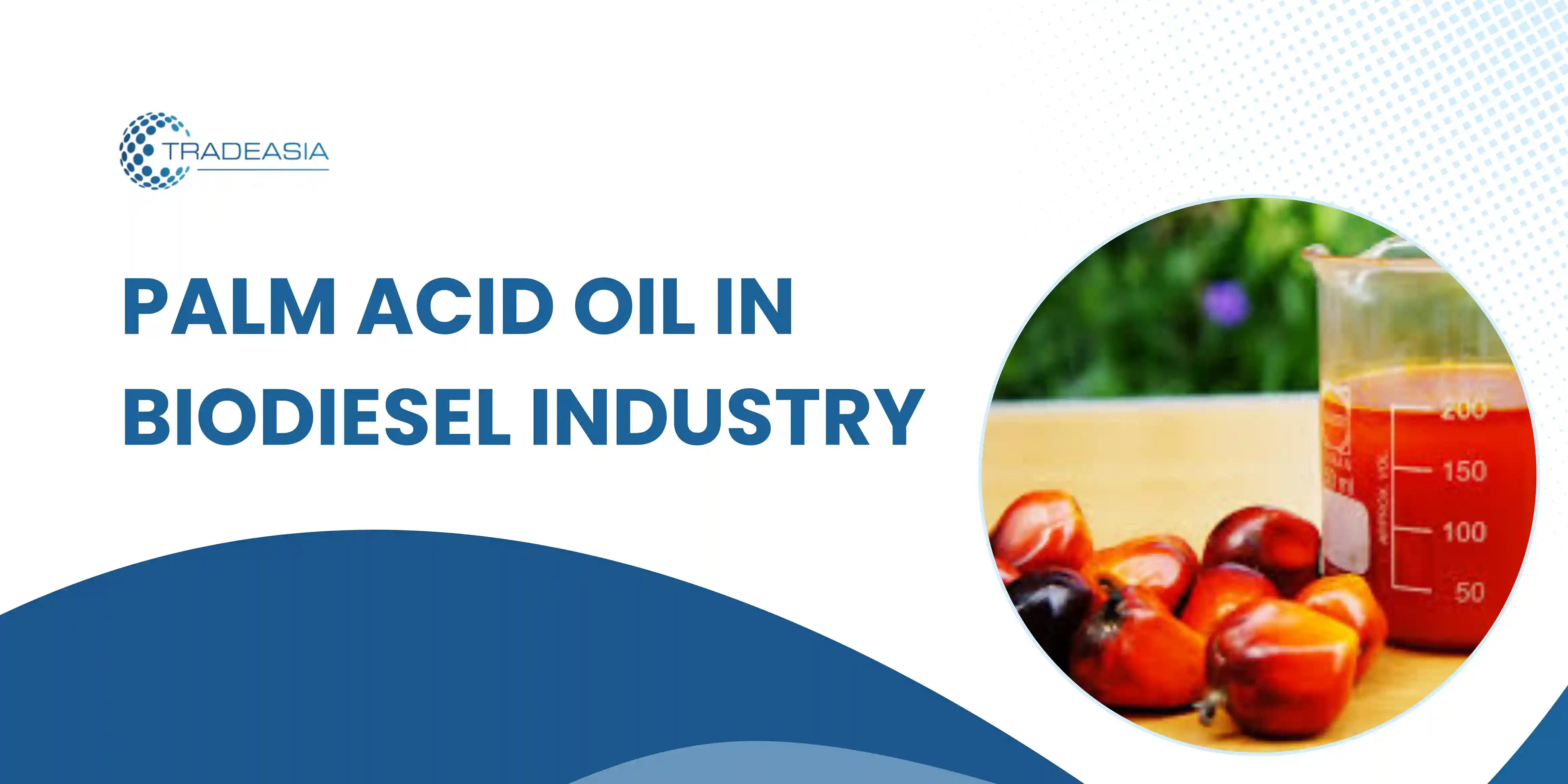 Palm Acid Oil in Biodiesel Industry