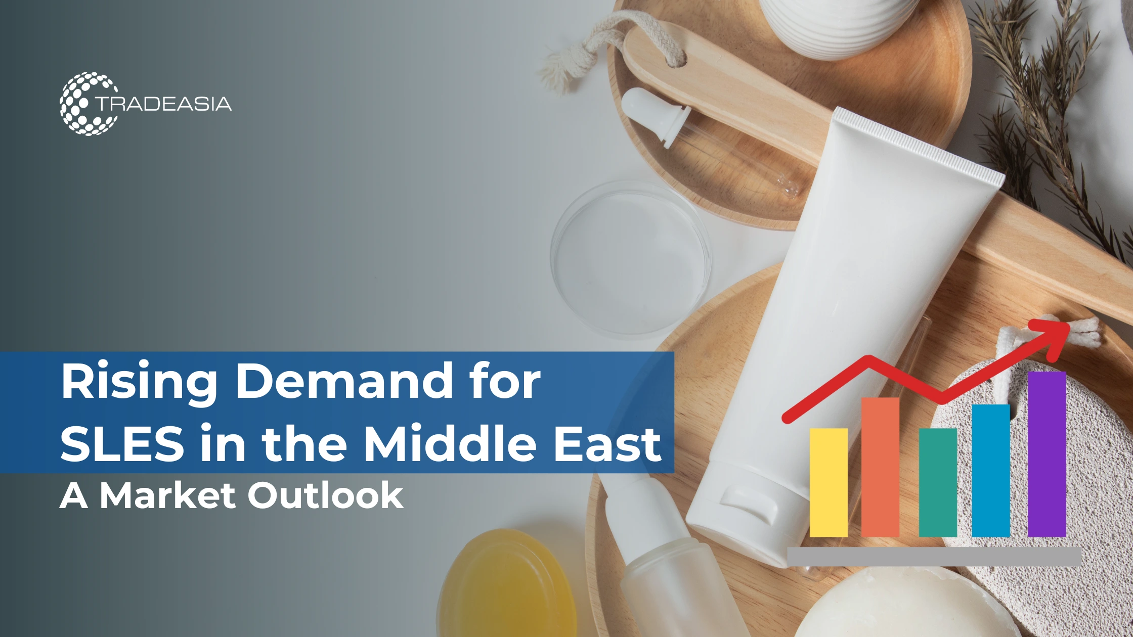 Rising Demand for SLES in the Middle East: A Market Outlook