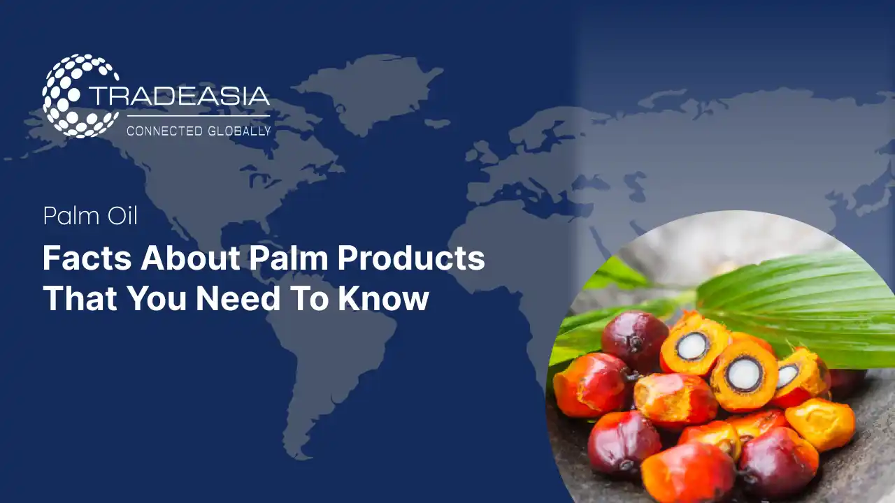 Facts About Palm Products That You Need to Know