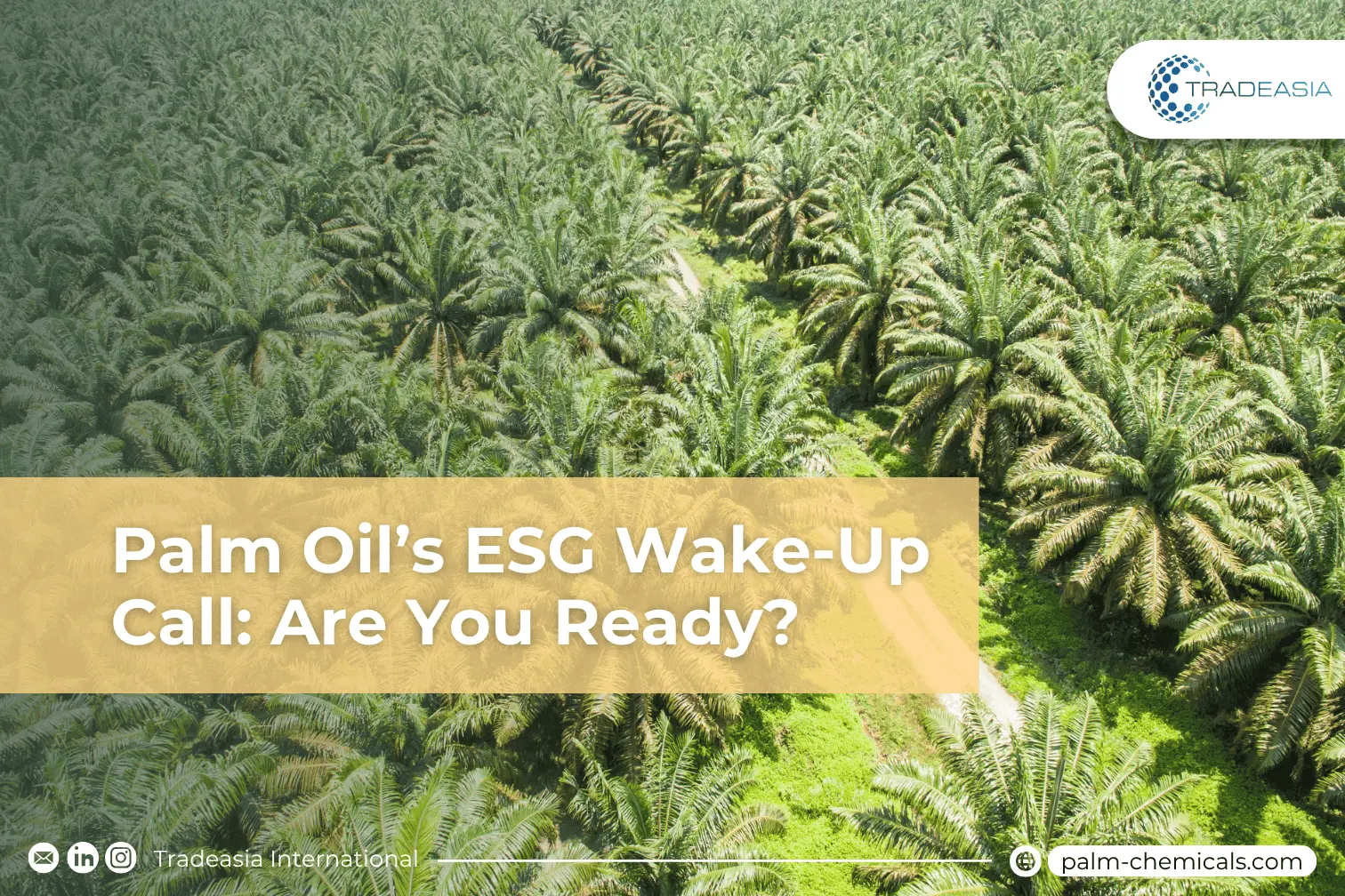 Palm Oil’s ESG Wake-Up Call: Are You Ready?
