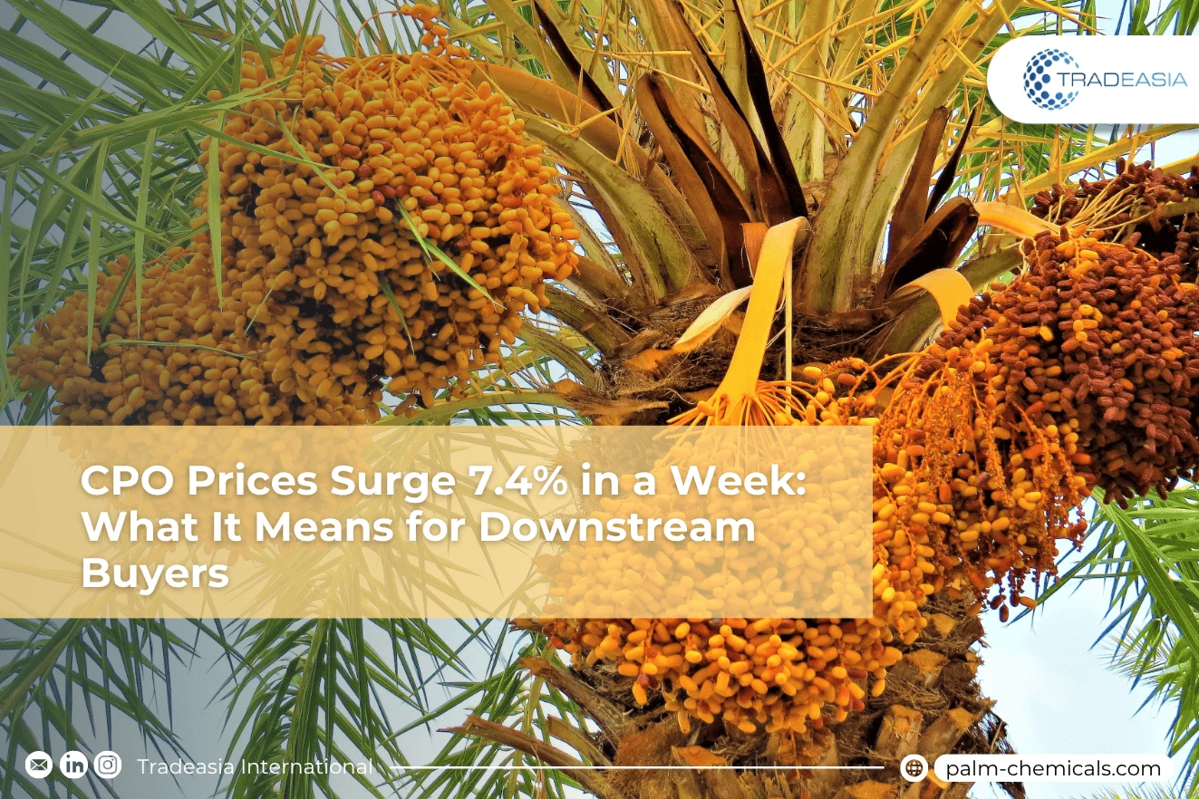 CPO Prices Surge 7.4% in a Week: What It Means for Downstream Buyers