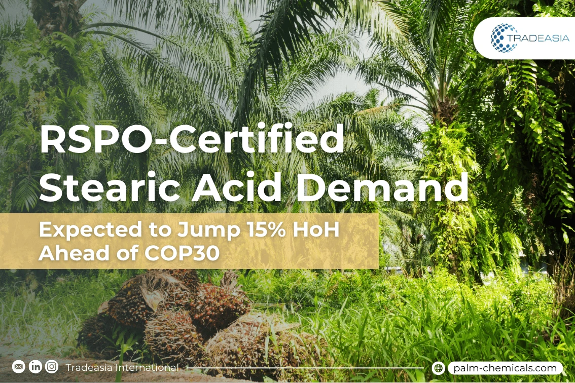 RSPO-Certified Stearic Acid Demand Expected to Jump 15% HoH Ahead of COP30