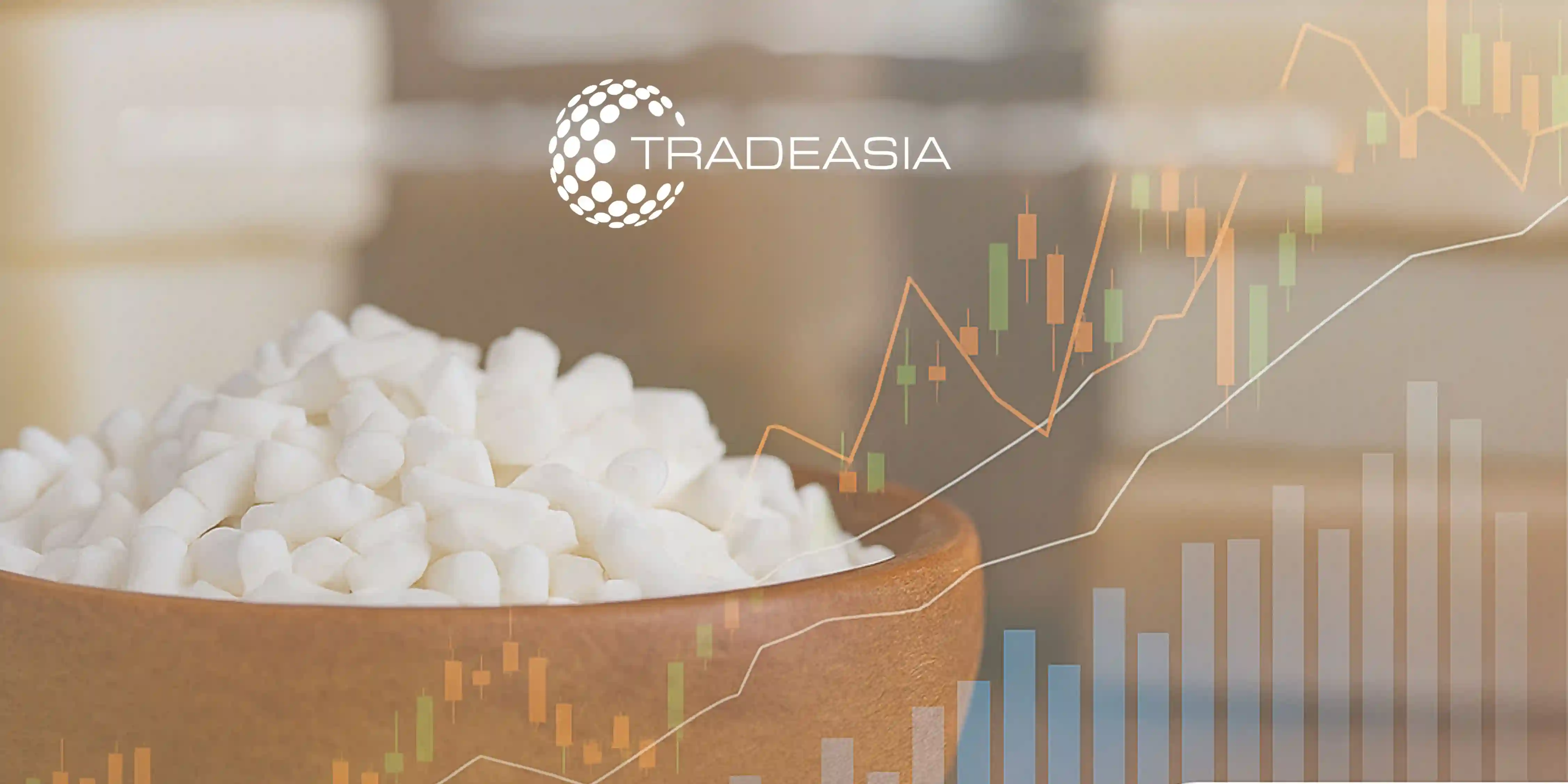 Soap Noodles Market Outlook 2025-2030: From Raw Materials