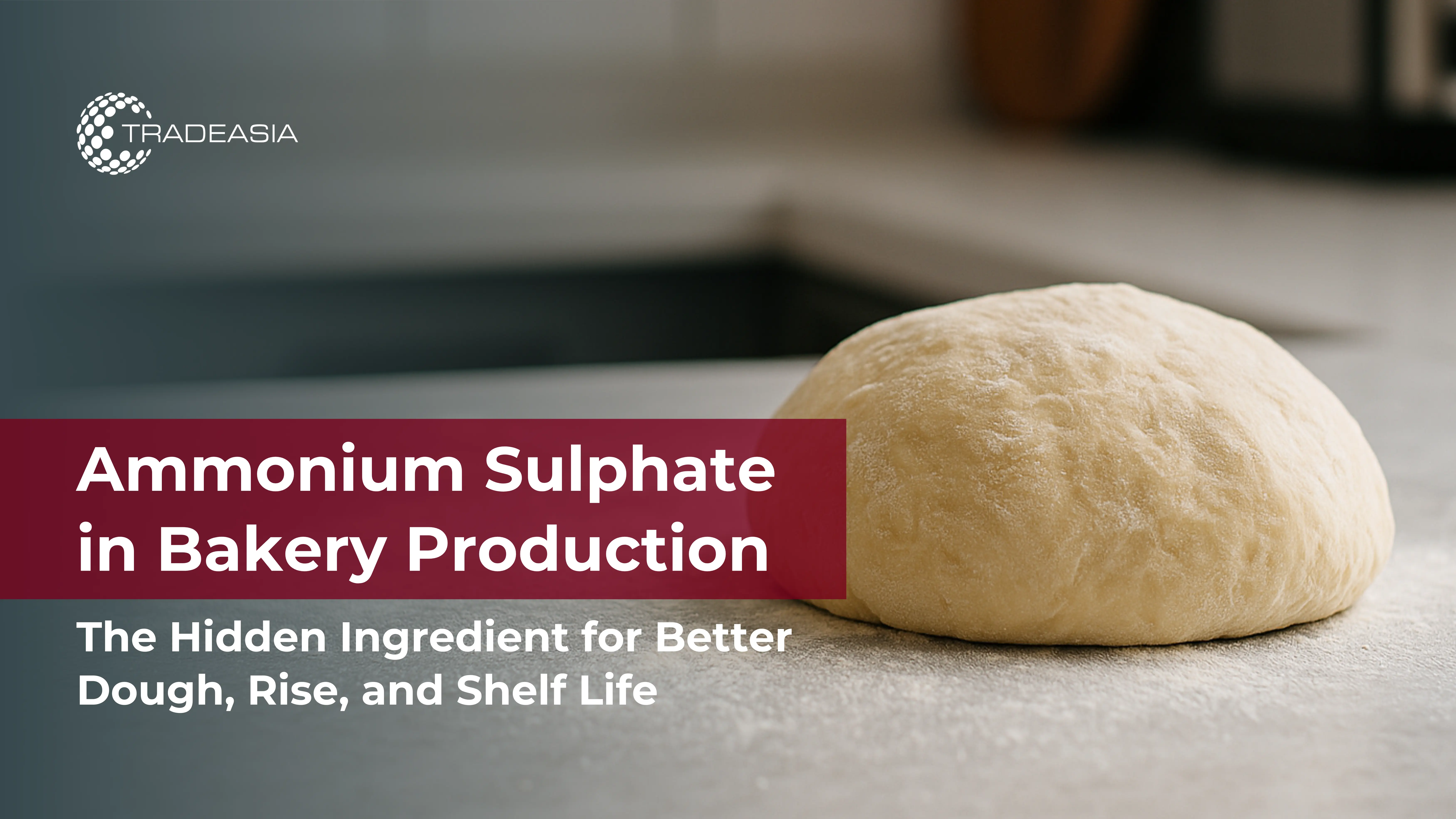 Ammonium sulphate used in bakery production, dough ball on countertop in a kitchen setting