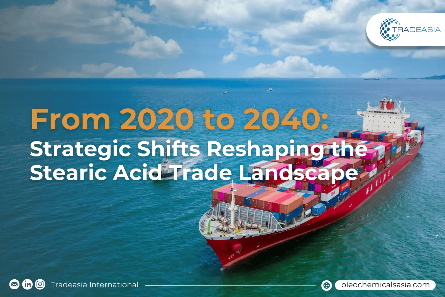 From 2020 to 2040: Strategic Shifts Reshaping the Stearic Acid Trade Landscape
