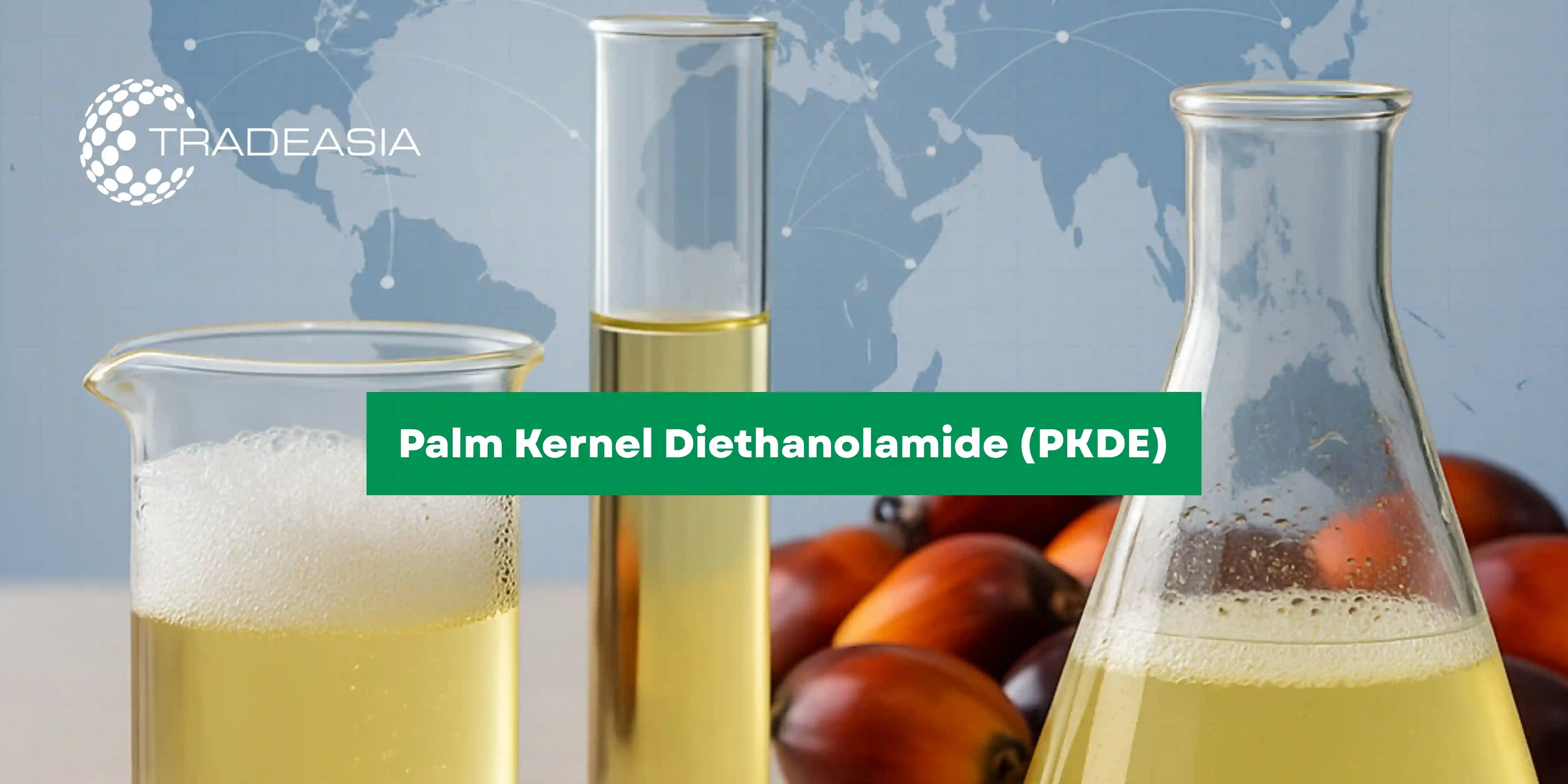 Palm Kernel Diethanolamide Market Outlook 2025–2033: Trends, Growth, and Opportunities