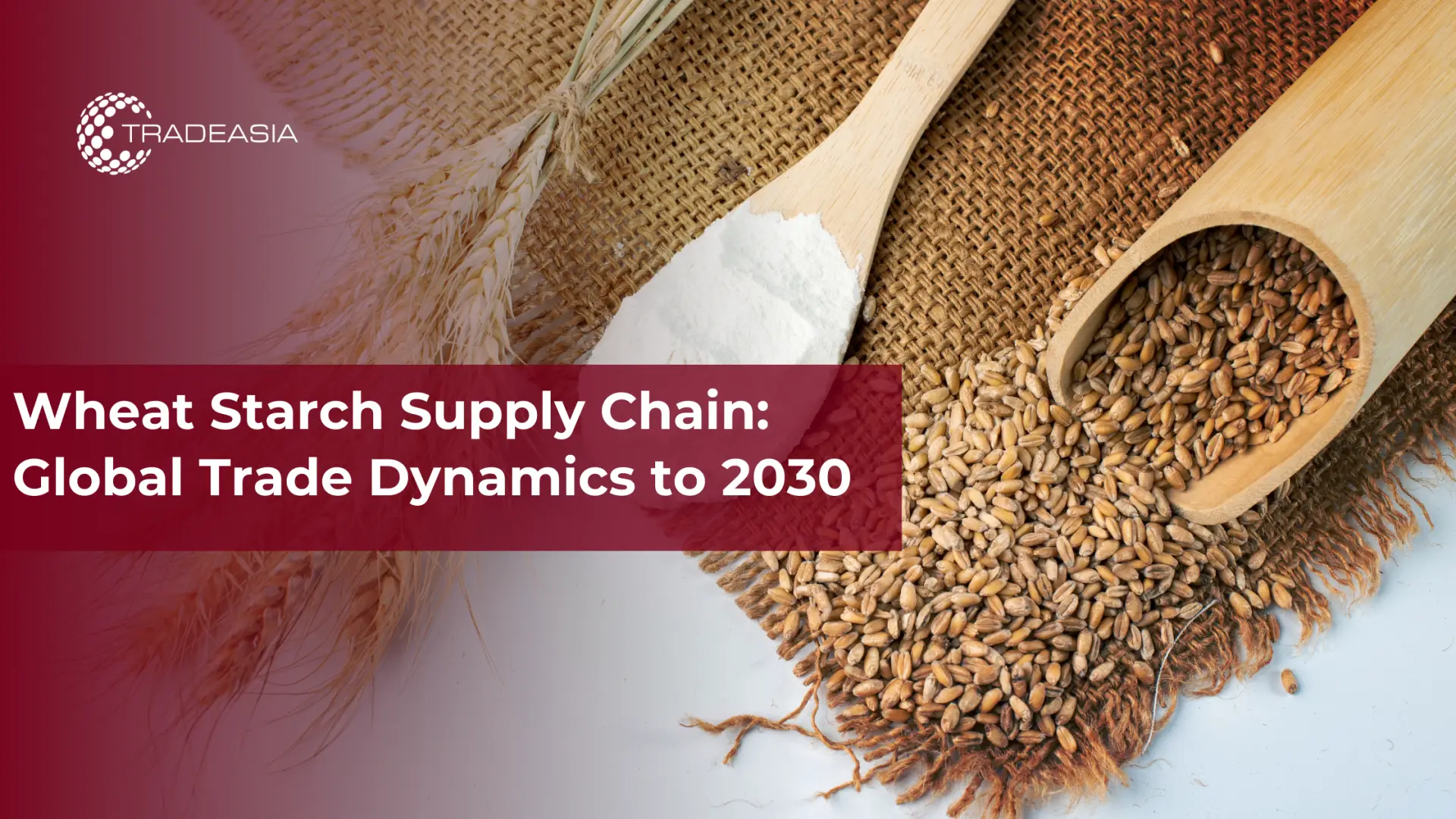 Wheat Starch Supply Chain: Global Trade Dynamics to 2030 - Home Oils Tradeasia