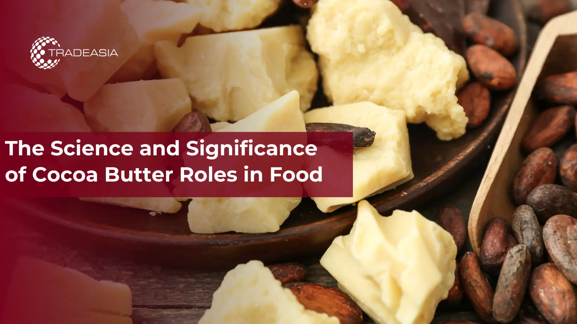 The Science and Significance of Cocoa Butter Roles in Food - Home Oils Tradeasia