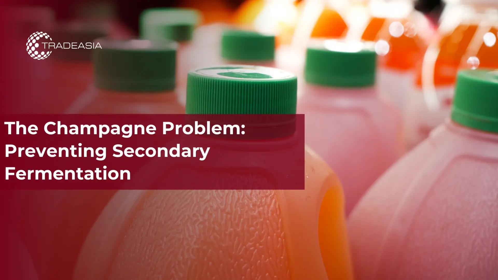 The Champagne Problem: Preventing Secondary Fermentation - Home Oils Tradeasia