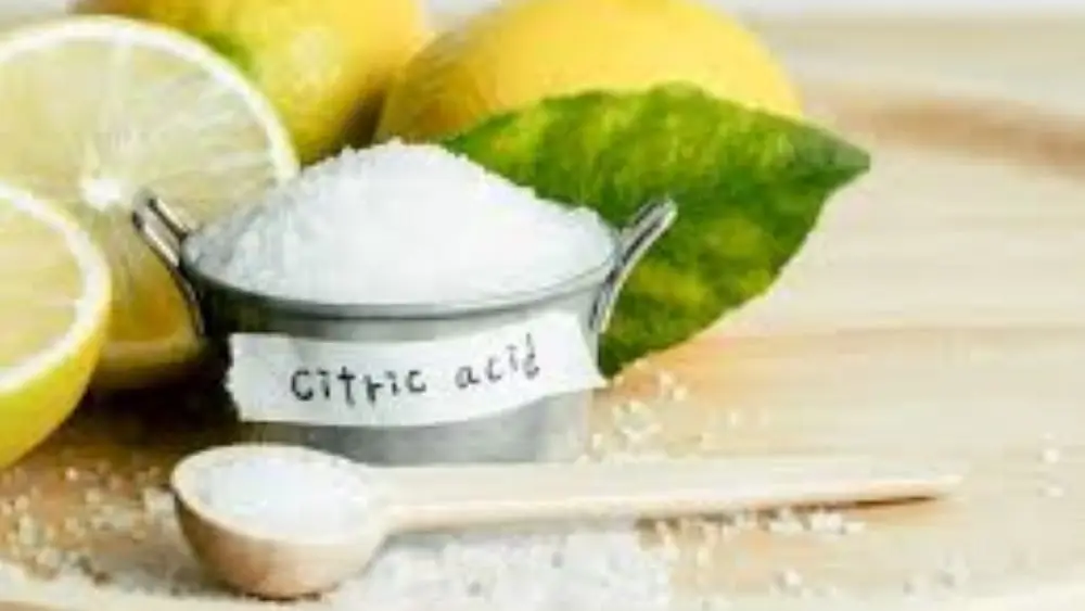 Global Citric Acid Anhydrous Market Forecast - Home Oils Tradeasia