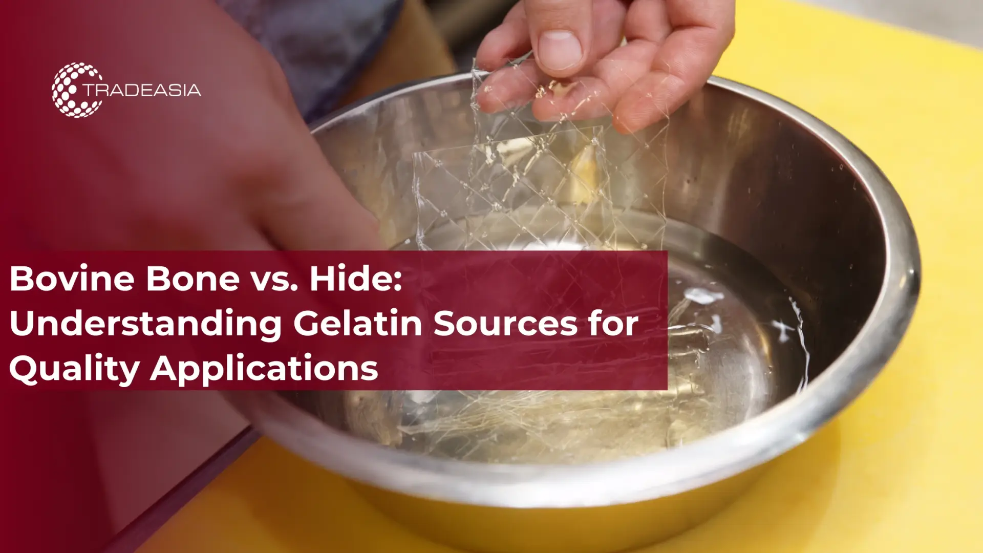 Bovine Bone vs. Hide: Understanding Gelatin Sources for Quality Applications