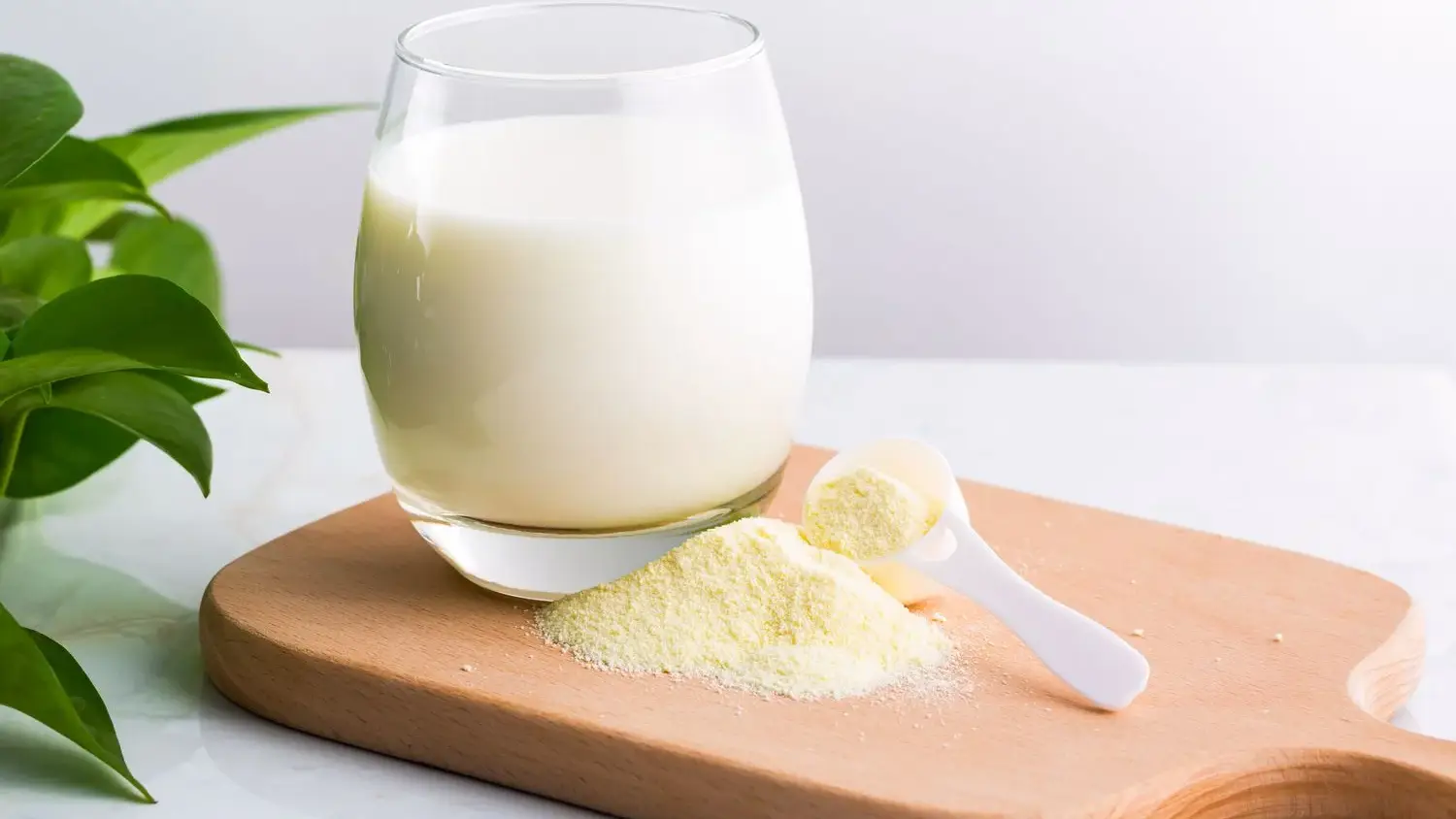Key Industry Buyers Driving Growth in the Milk Powder Market