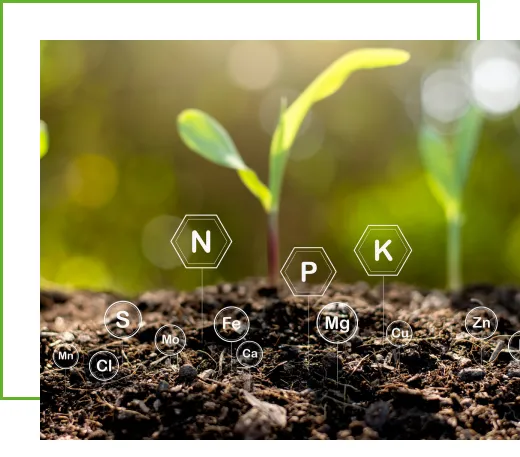 Complex Fertilizer by Tradeasia