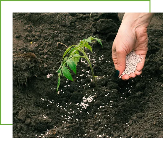 Micronutrient by Tradeasia