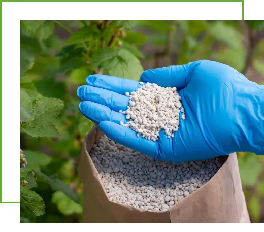 Nitrogen Fertilizer by Tradeasia