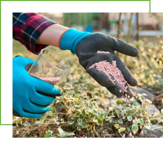 Potassium Fertilizer by Tradeasia