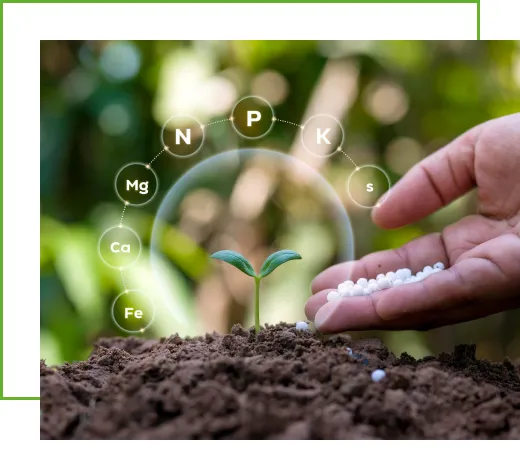 Secondary Major Fertilizer by Tradeasia