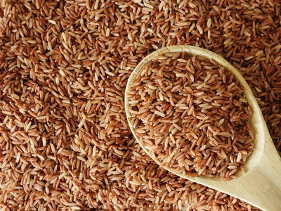 Brown Rice in Chemtradeasia