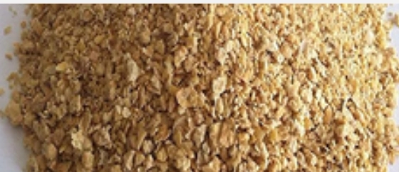 Cottonseed Meal in Chemtradeasia