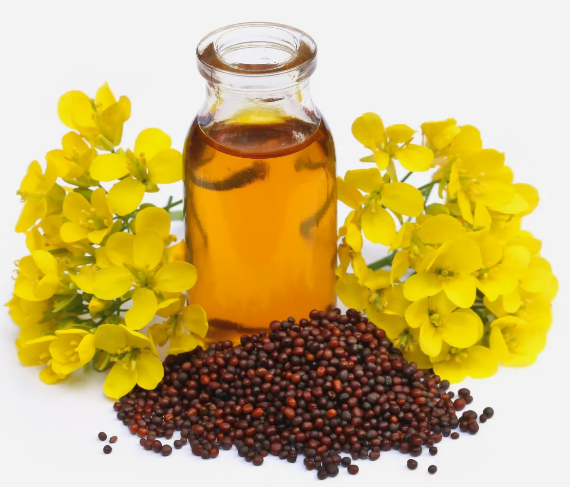 Crude Super Degummed Canola Oil in Oils Tradeasia - All Products