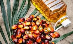 Crude Palm Kernel Olein in Chemtradeasia