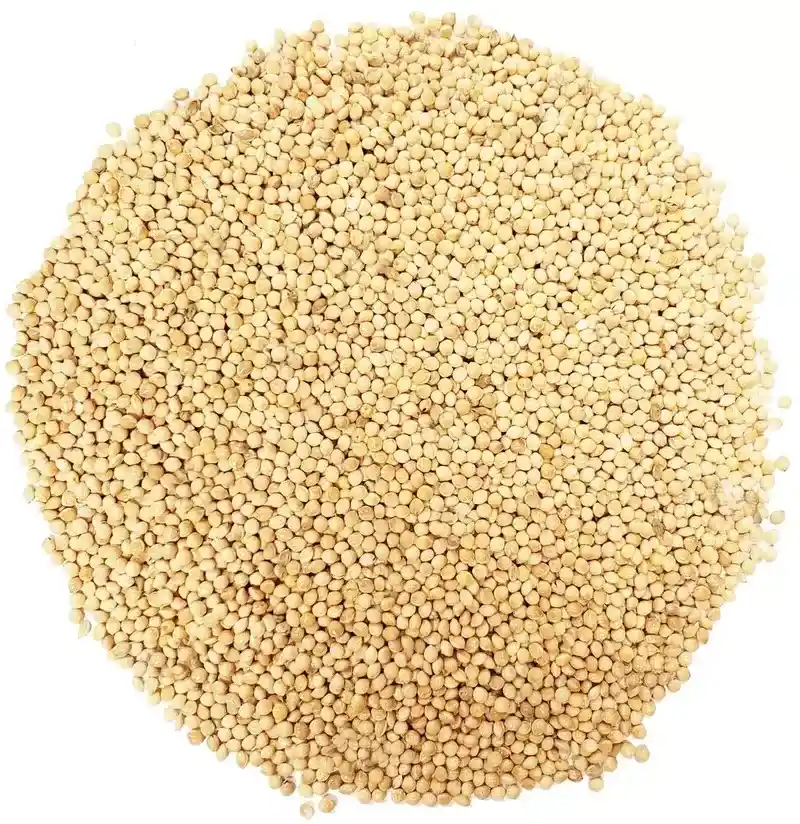 Millet in Chemtradeasia