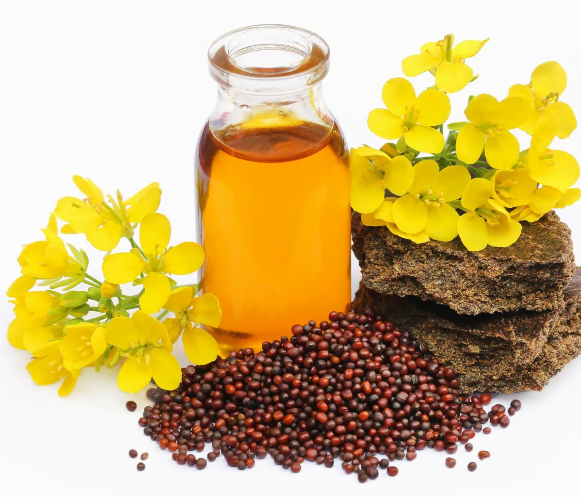 RBD Canola Oil in Oils Tradeasia - Canola Oil