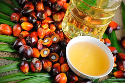 RBD Palm Oil in Chemtradeasia
