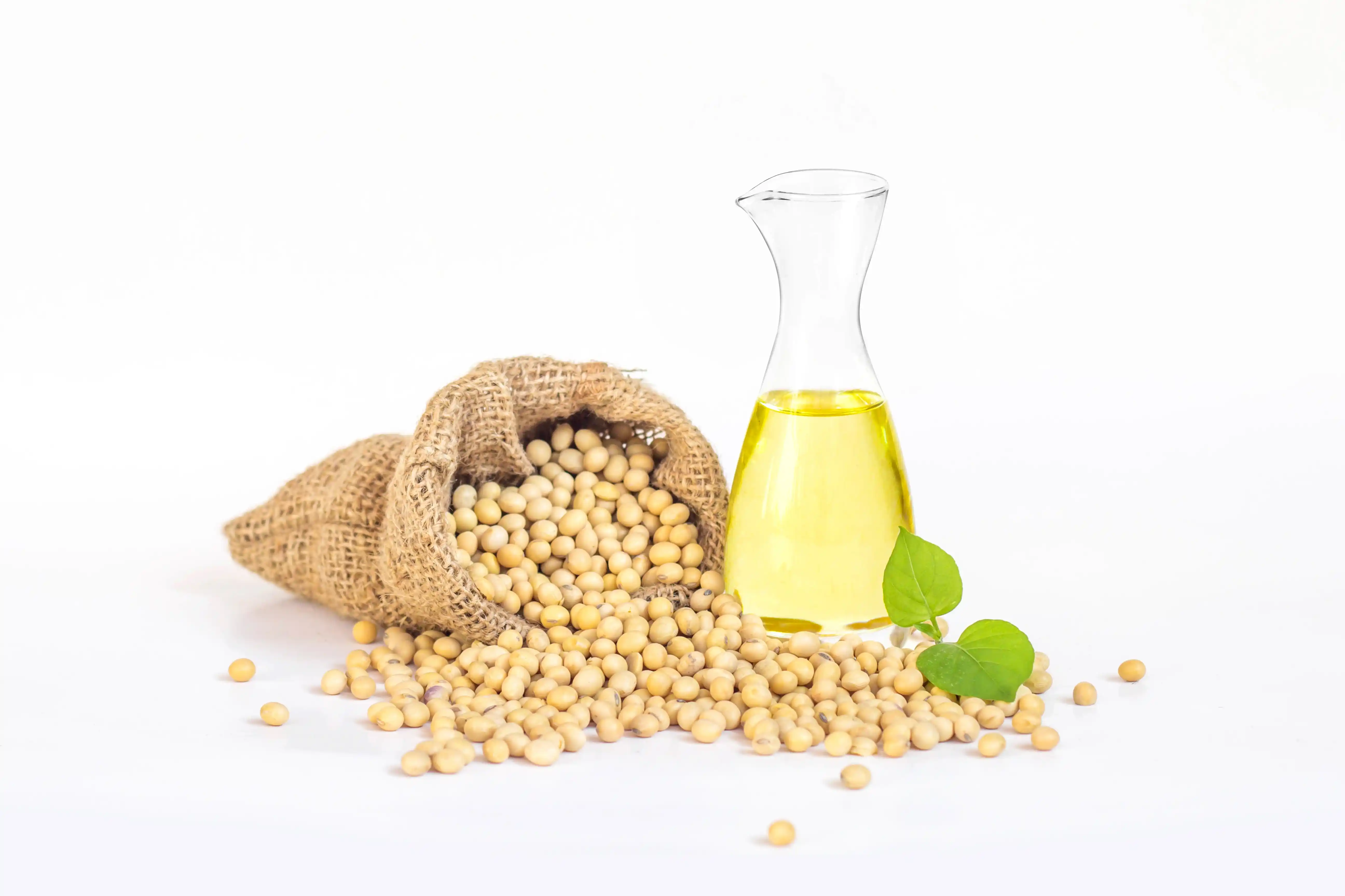 Refined Soybean Oil in Oils Tradeasia - Detail Product