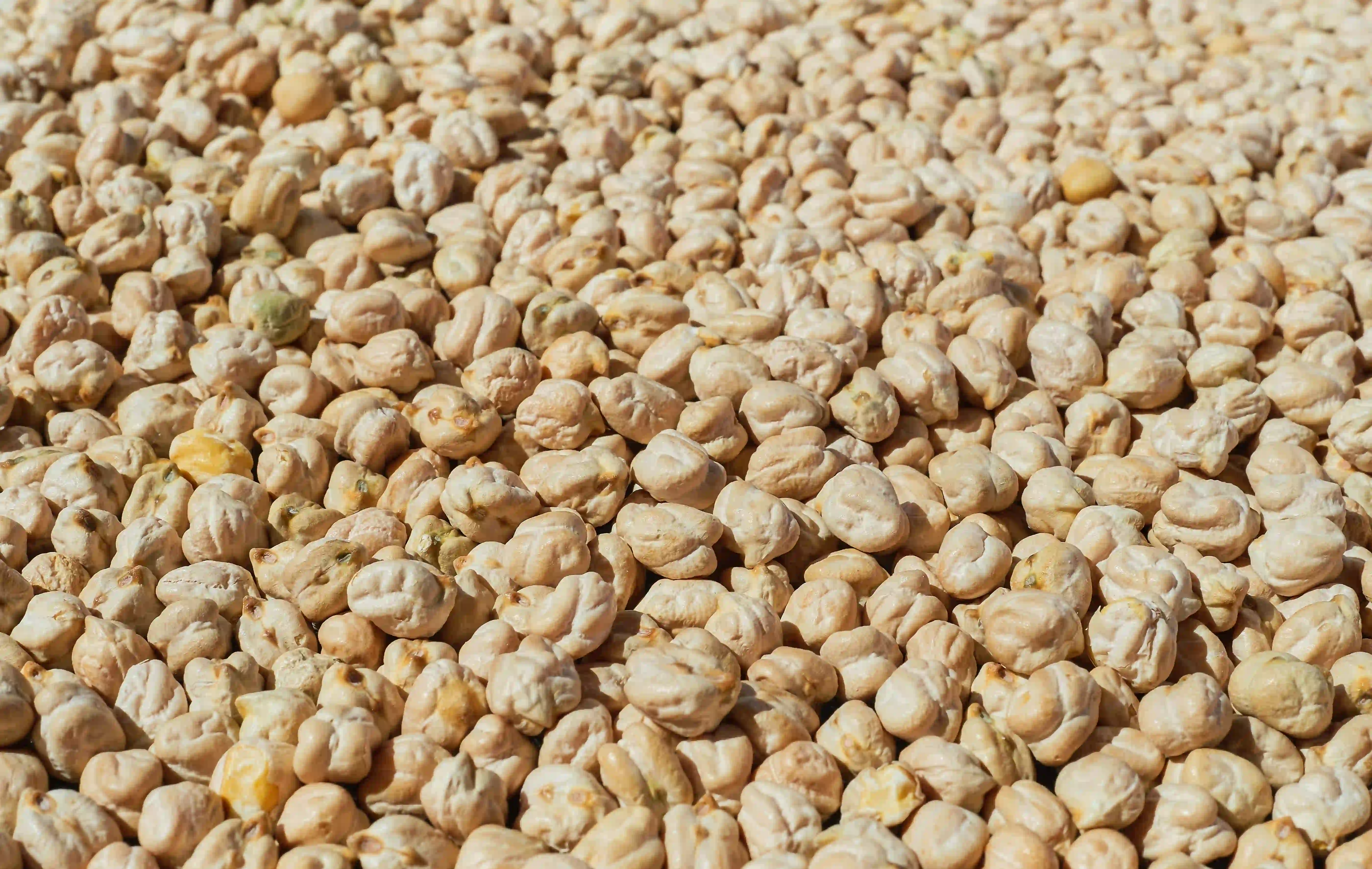 Textured Soy Protein in Chemtradeasia